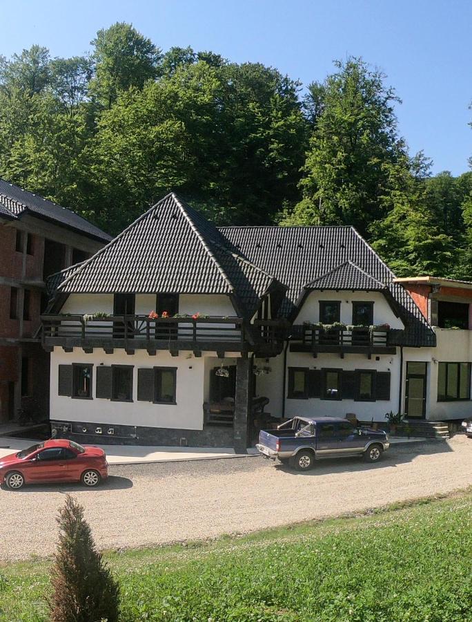 Baile Puturoasa Vama (Satu Mare) Exterior foto
